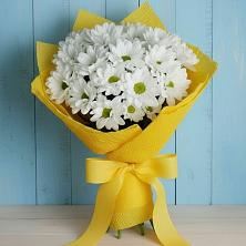 Букет цветов из:  Хризантемы в Оловянной