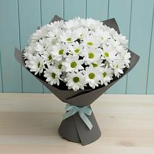 Букет цветов из:  Хризантемы в Оловянной